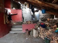 DSCN4782 DSCN4782