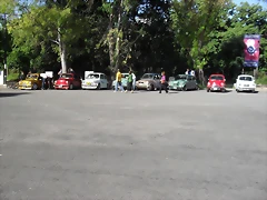 SDC10931 SDC10931