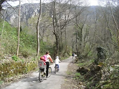 R0012361 R0012361