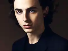 timothee-chalamet-1515528996