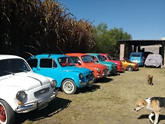 IMG-20200620-WA0035