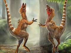 Sinosauropteryx
