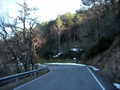 DSCN2919