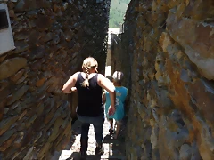 P1070206 P1070206