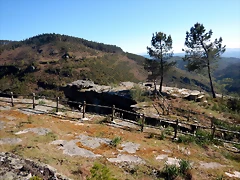 DSCN9010 DSCN9010