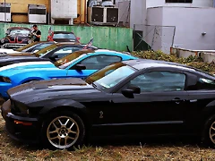DSC_3493 DSC_3493