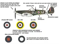 raf_markings_book