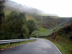 DSCN8480 DSCN8480