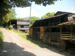 DSCN5777 DSCN5777