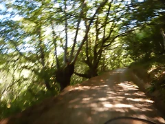 DSCN4161 DSCN4161
