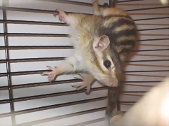 Willow 4-08-13 (7)