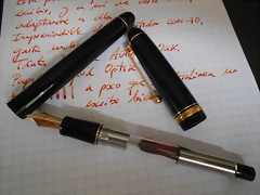 DSCN0213 DSCN0213