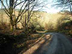 DSCN2105 DSCN2105