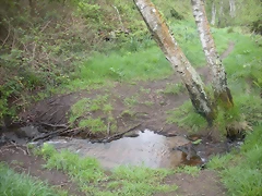 DSCN4166 DSCN4166