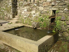 DSCN3055 DSCN3055