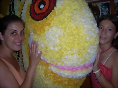 DSCN3776