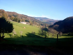DSCN9484 DSCN9484