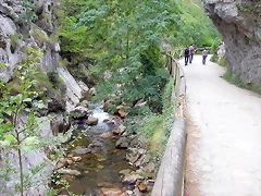DSCN3735 DSCN3735