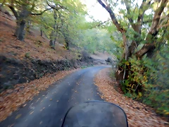 DSCN8623