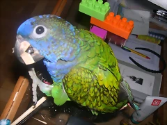DSCN0218 DSCN0218
