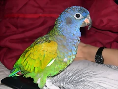 DSCN0440 DSCN0440