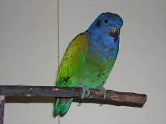 DSCN0490 DSCN0490