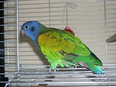 DSCN0404 DSCN0404