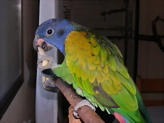 DSCN0419 DSCN0419