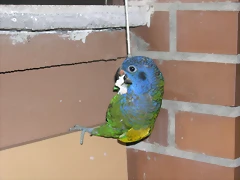 DSCN0486 DSCN0486