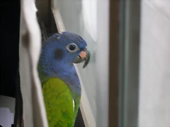 DSCN0482 DSCN0482