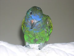 DSCN0156 DSCN0156