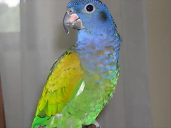 DSCN0413 DSCN0413
