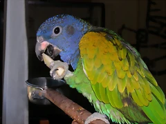 DSCN0420 DSCN0420