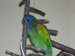 DSCN0453 DSCN0453