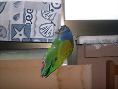 DSCN0496 DSCN0496