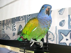DSCN0431 DSCN0431