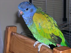 DSCN0414 DSCN0414