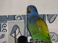 DSCN0497 DSCN0497