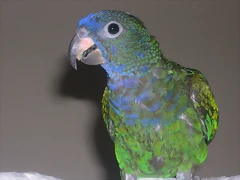 DSCN0154 DSCN0154