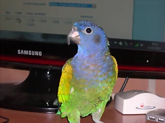 DSCN0387 DSCN0387