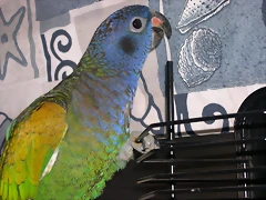 DSCN0423 DSCN0423