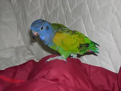 DSCN0444 DSCN0444