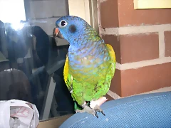 DSCN0467 DSCN0467
