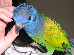 DSCN0489 DSCN0489