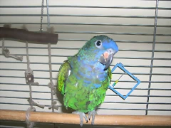 DSCN0135 DSCN0135