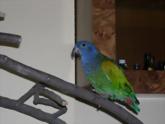 DSCN0455 DSCN0455