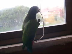 DSCN0501 DSCN0501