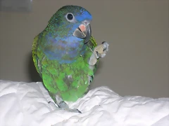 DSCN0151 DSCN0151
