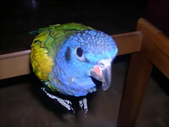 DSCN0388 DSCN0388