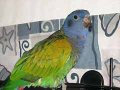 DSCN0425 DSCN0425